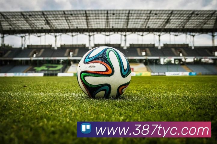 太阳城官网发展历程